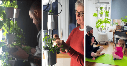 Minding the Garden: What is Horticultural Therapy?