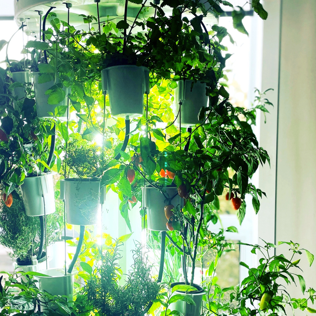The Nutritower vertical hydroponic garden system