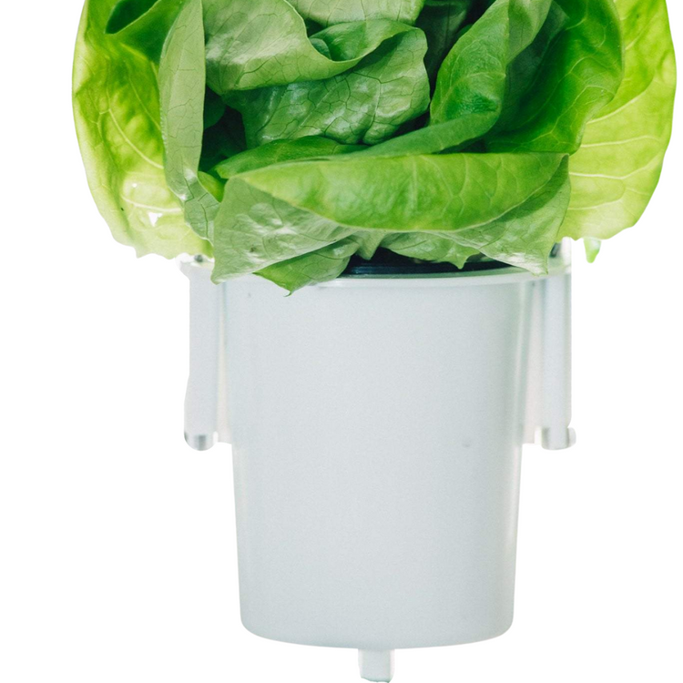 Nutritower White Feeder Pots
