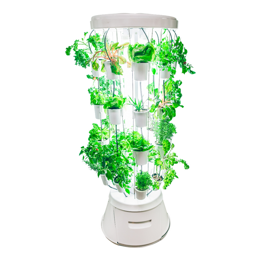 Nutritower Educational Package