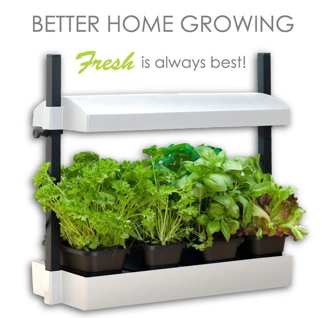 Growlight Micro Garden - WHITE Gardening products nutritower 